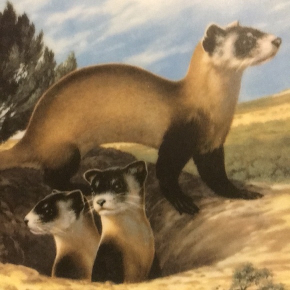 Vintage decorative wall art - Picture 2 of 12